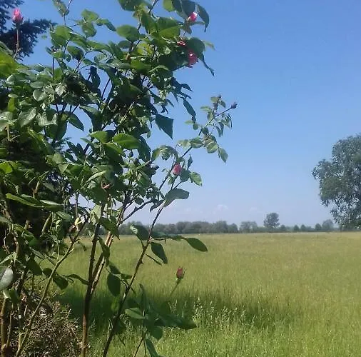 Διαμέρισμα Gaestezimmer Manschnow